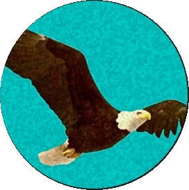 eagle flying skyland